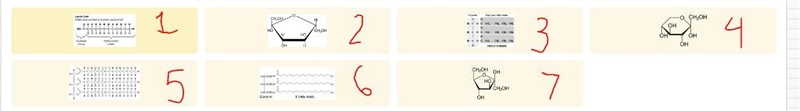 Classify each picture as Carbohydrates or Lipids-example-1