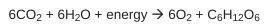 [NEED ANSWER ASAP] The chemical equation below summarizes the process of photosynthesis-example-1