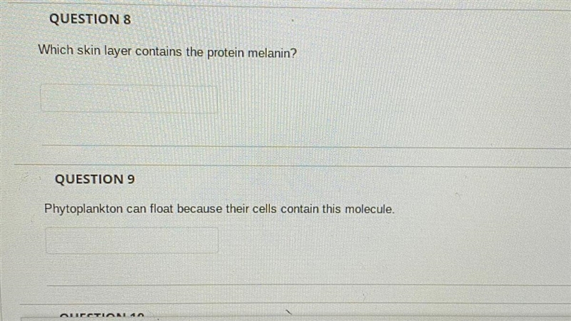 Which skin layer contains the protein melanin?-example-1