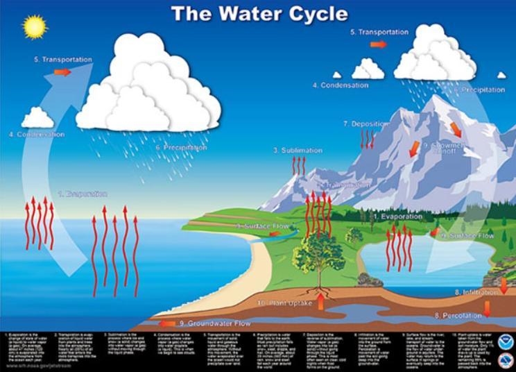 Is this a scientific model? Use complete sentences to explain why or why not.-example-1