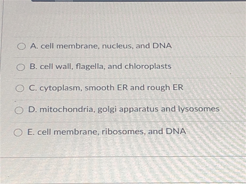 Which of the following structures would be used to identify a prokaryotic cell?-example-1