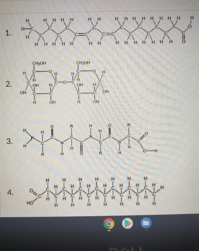 Identify the molecules below. be as specfic as possible. ​-example-1