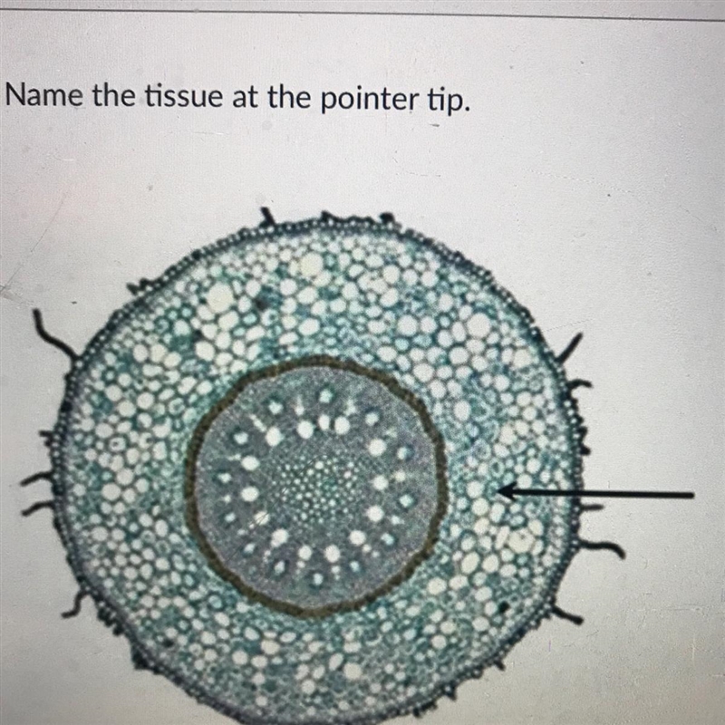 Help if you good at biology!!-example-1