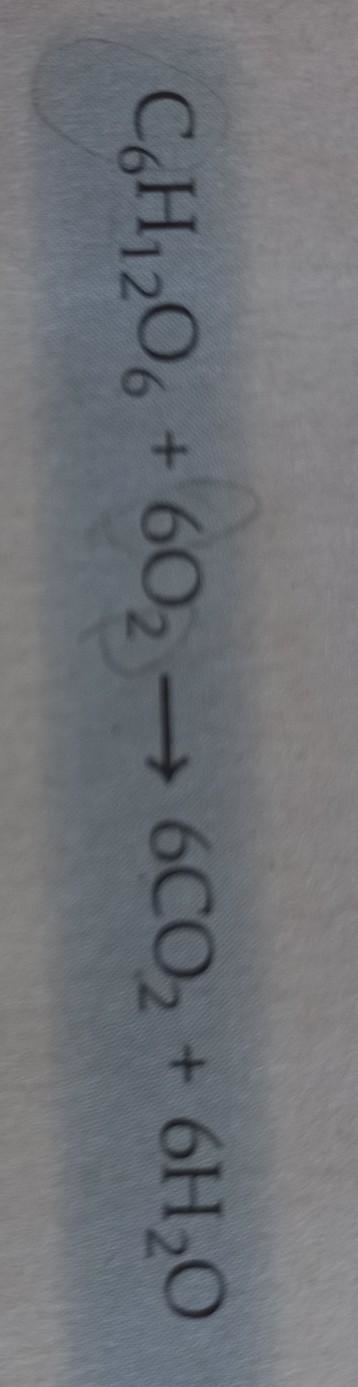 Please explain this equation for me Answer and I will give you brainiliest ​-example-1