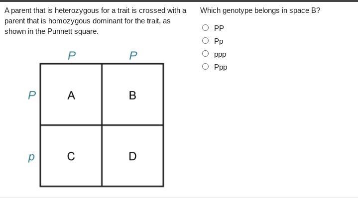 Please help please no silly answers-example-1