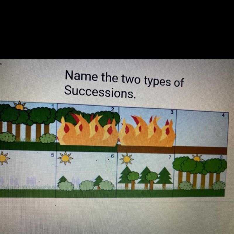 Name the two types of Successions.-example-1