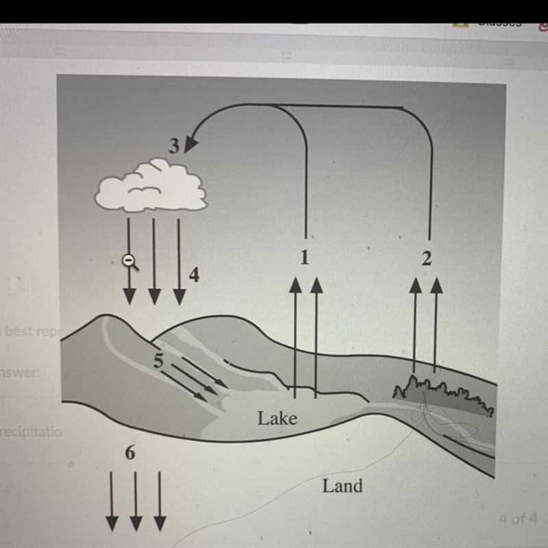 Which term best represents process 2? Choose 1 answer: A) Precipitation B) Evaporation-example-1