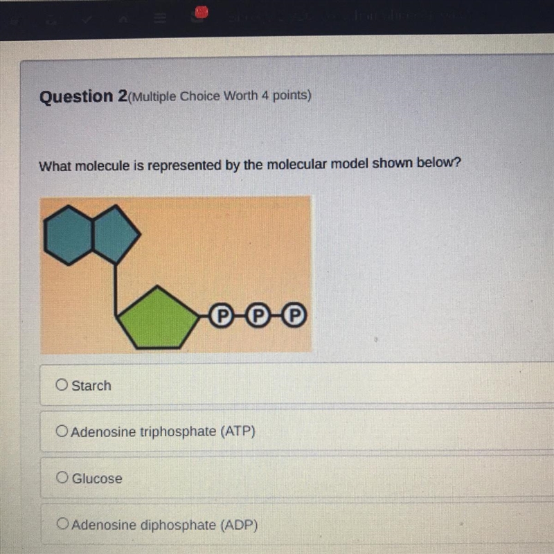 What molecule is represented by the molecular model shown below? O Starch O Adenosine-example-1