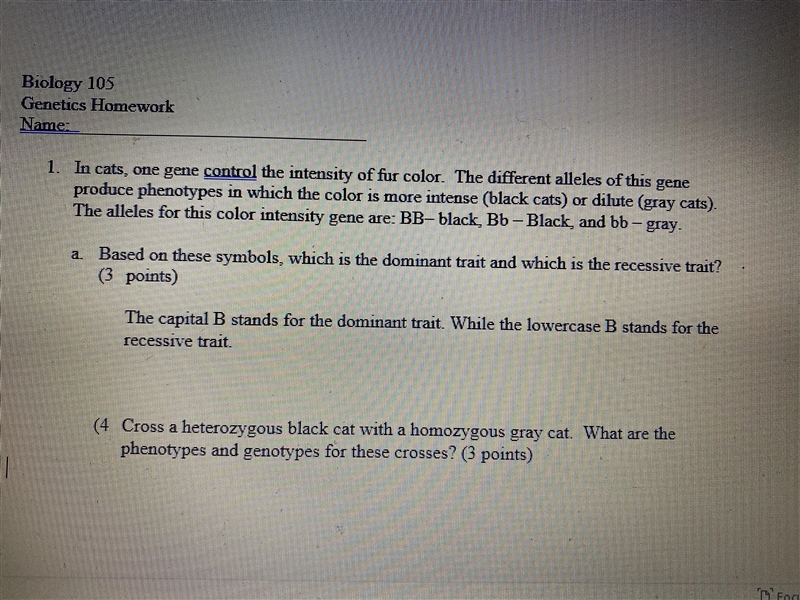 Question #4 - Just checking my work.-example-1