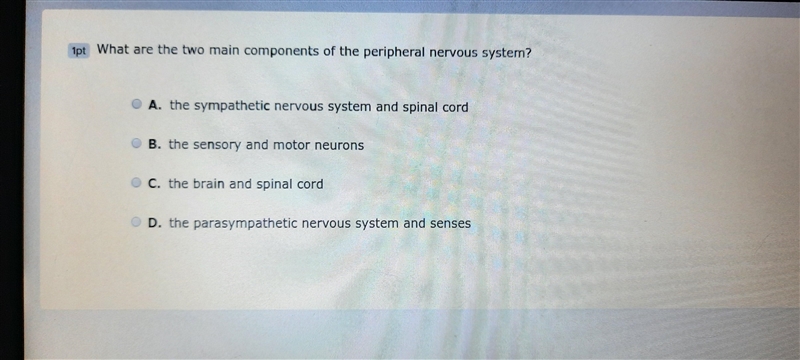 Due in 1 minute please help-example-1