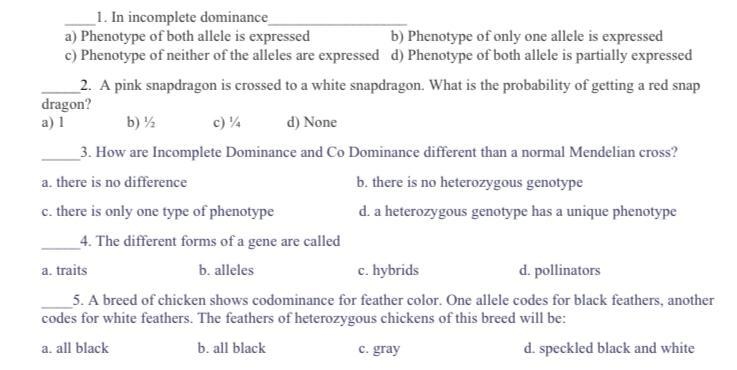 Answer these 5 questions please-example-1