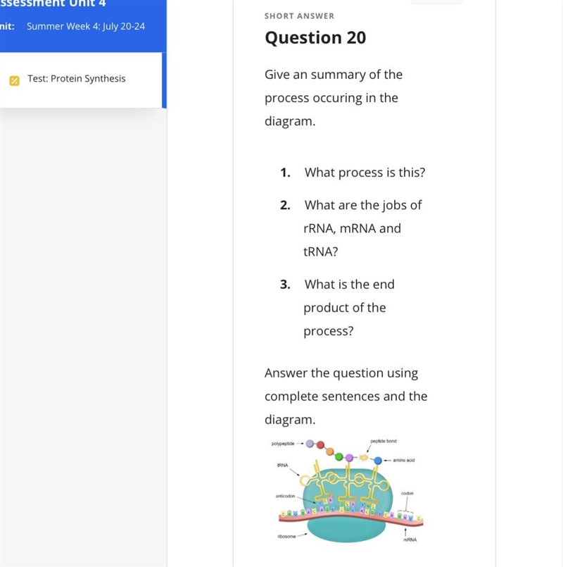 Please help!!!!! science, please explain in sentence cause yes i don’t know where-example-1