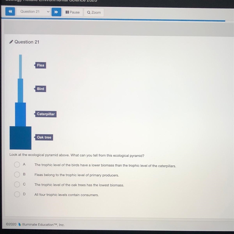 Flea Bird Caterpillar Oaktree А Look at the ecological pyramid above. What can you-example-1