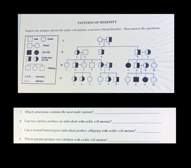 Can somebody help me w this? Anything will help, thank you(,:-example-1