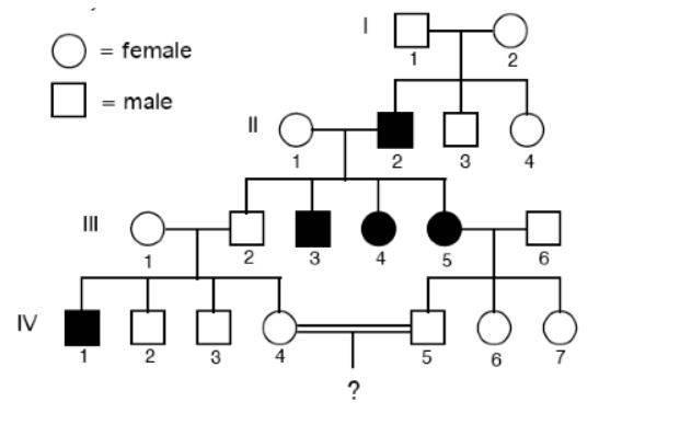 This Pedigree represents a family with an Autosomal Recessive Disorder. What is the-example-1