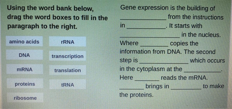 Gene Expression word bank! Help please!!-example-1