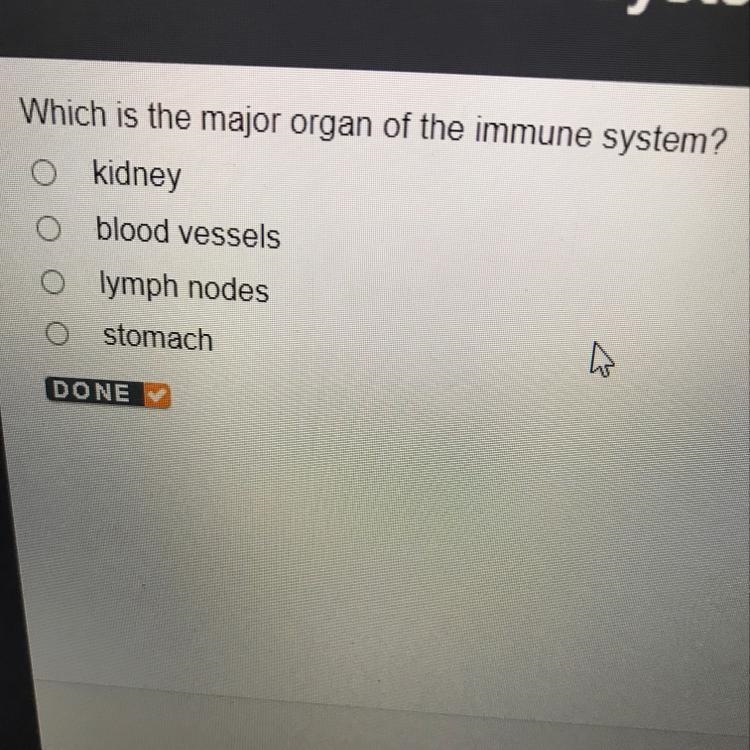 Which is the major organ of the immune system? O kidney O blood vessels Olymph nodes-example-1