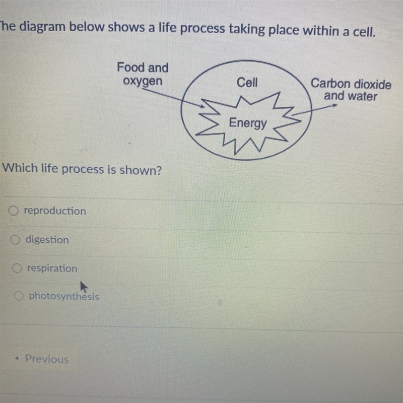 Which life process is shown? A. Reproduction B. Digestion C. Respiration D. Photosynthesis-example-1