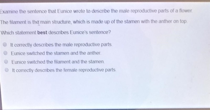 Examine the sentence that eunice wrote to describe the male reproductive parts of-example-1