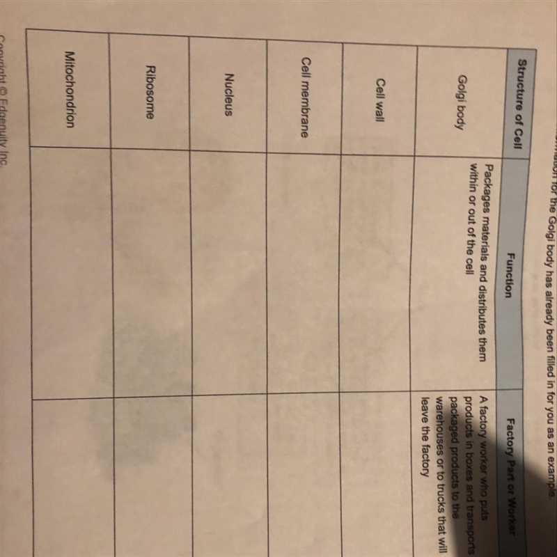 ‼️‼️NEED HELP ASAP)‼️‼️‼️ Structure of Cell Function: Factory Part or Worker: {Cell-example-1