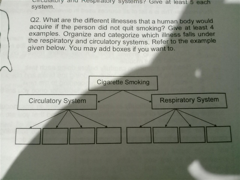 What are the difference illnesses that a human body would acquire if the person did-example-1