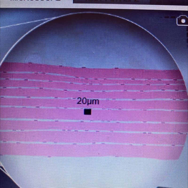 What do you see please help-example-1