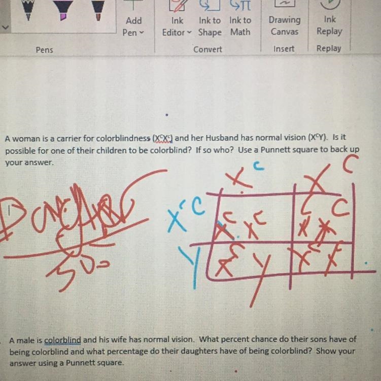 A woman is a carrier for colorblindness (XcXc)and her husband has normal vision (XcY-example-1