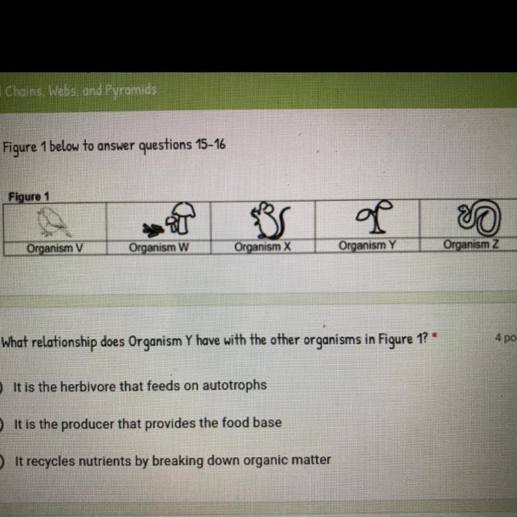 What relationship does Organism Y have with the other organisms in figure 1? 1. It-example-1