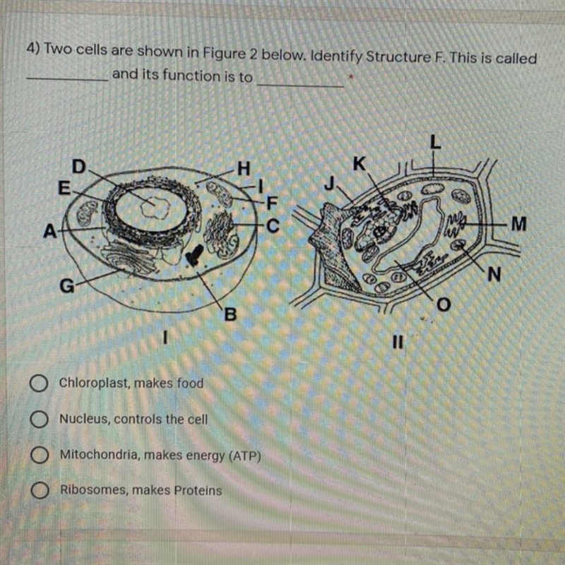 Need help please ):-example-1