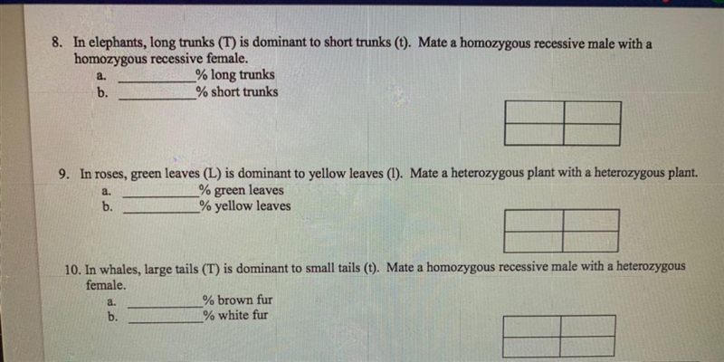 Please help i only need these!(No need to write the Punnett squares)-example-1