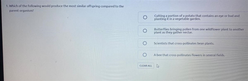 Which of the following would produce the most similar offspring compared to the parent-example-1