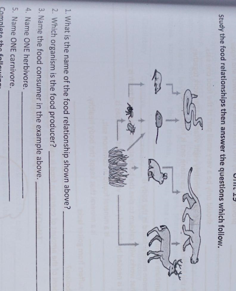 pls help look at the above image and answer the questions thx ​ if you do not know-example-1