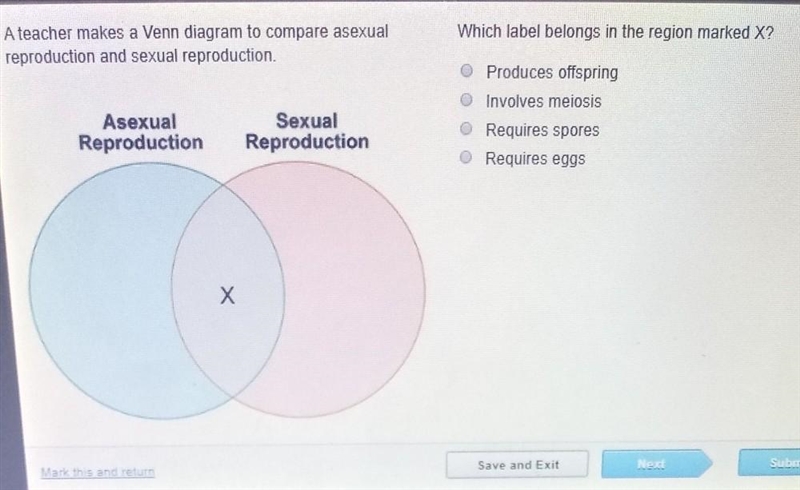 a teacher makes a Venn diagram to compare asexual reproduction and sexual reproduction-example-1