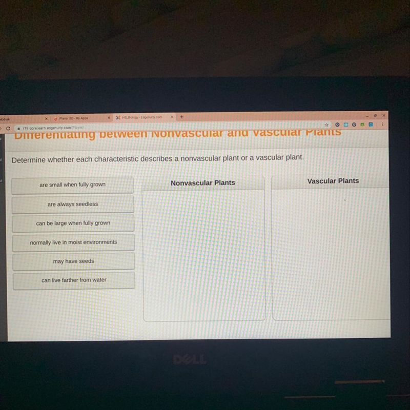 Determine whether each characteristic describes a nonvascular plant or a vascular-example-1