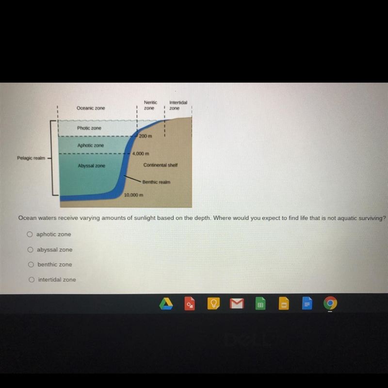 Above is a Ecology Question can anyone help me ????-example-1