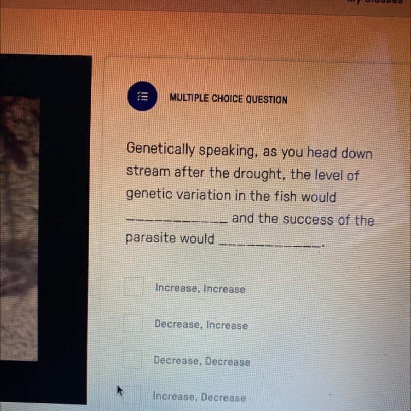 Genetically speaking, as you head down stream after the drought, the level of genetic-example-1