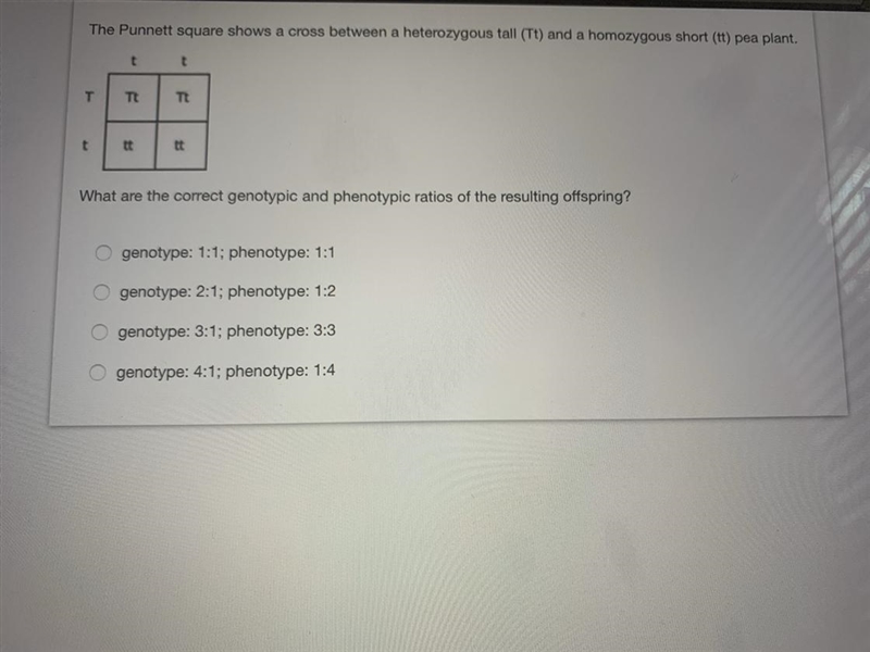 Please help with this im struggling and need help! picture provided-example-1