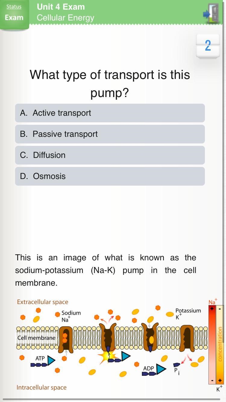 What type of transport is this pump?-example-1