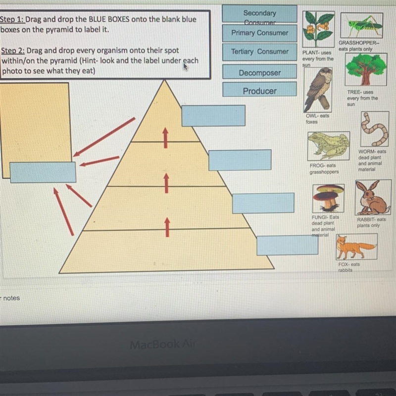 Can someone help me?-example-1