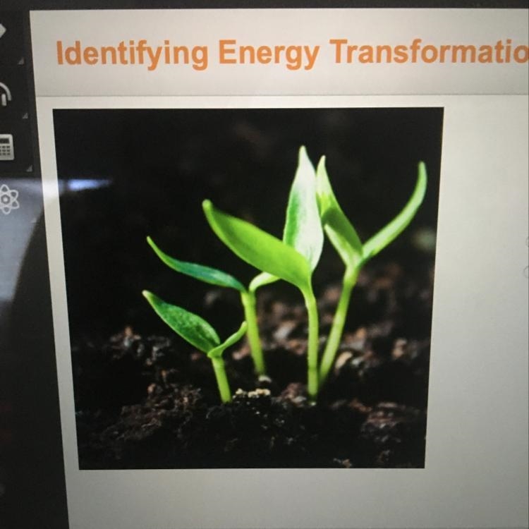 What is one energy transformation that is taking place in the photo ? radiant energy-example-1