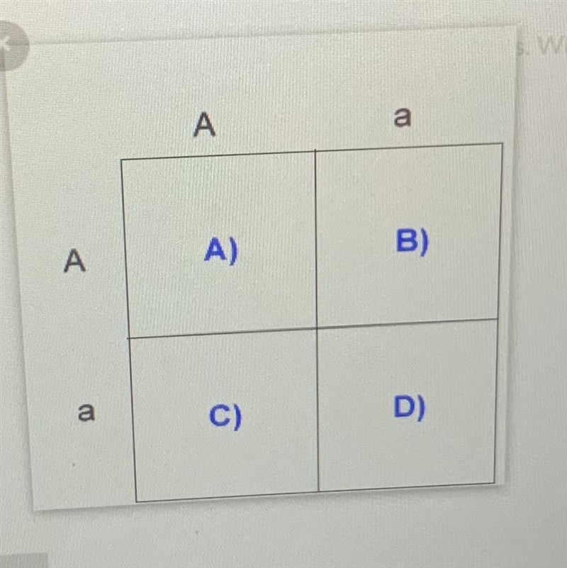 Tallness is dominant over shortness in pea plants. Which square would be homozygous-example-1