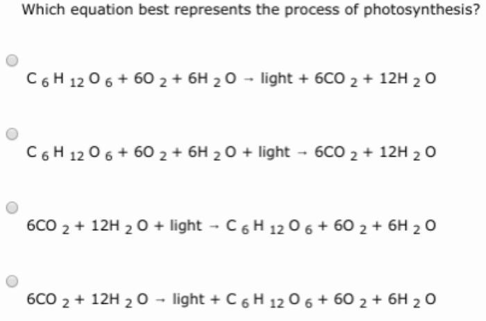 Which equation best represents the process of photosynthesis?-example-1