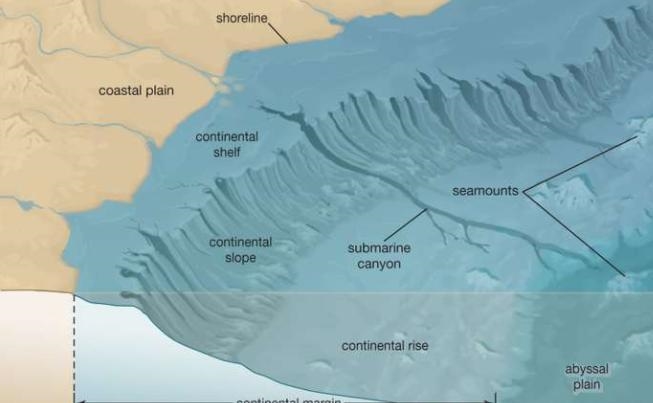 Which of the following is the best description of the continental slope? * A. The-example-1