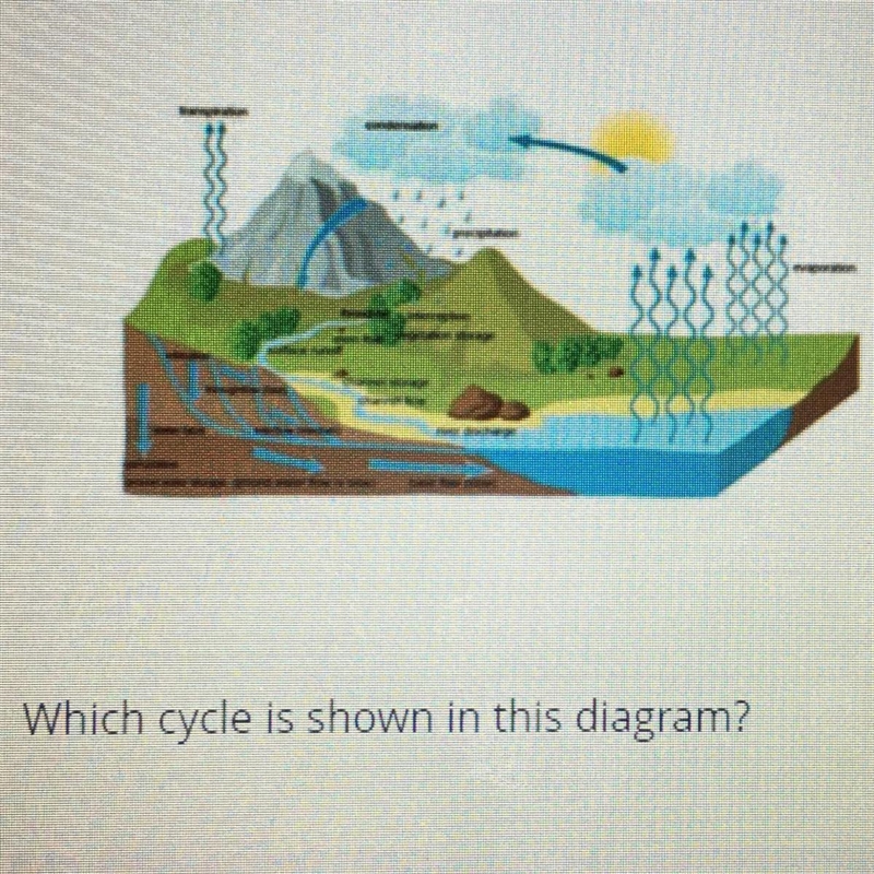 A. Nitrogen B. Carbon C. Phosphorus D. Water E. Oxygen-example-1