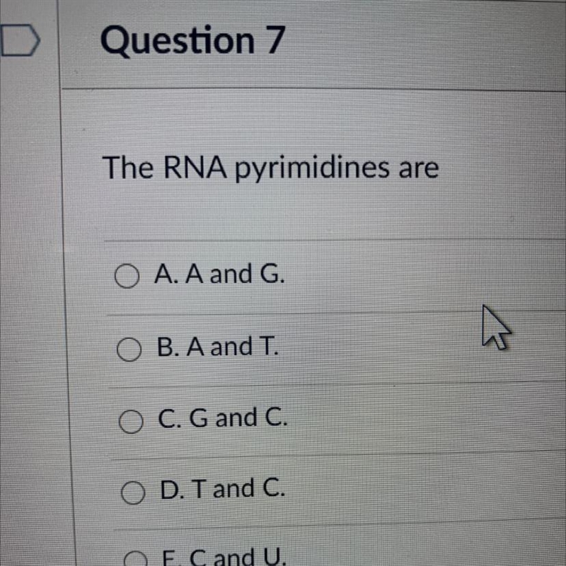 HELP ! The RNA pyrimidines are A. A and G. B. A and T. C. G and C. D. T and C. O E-example-1