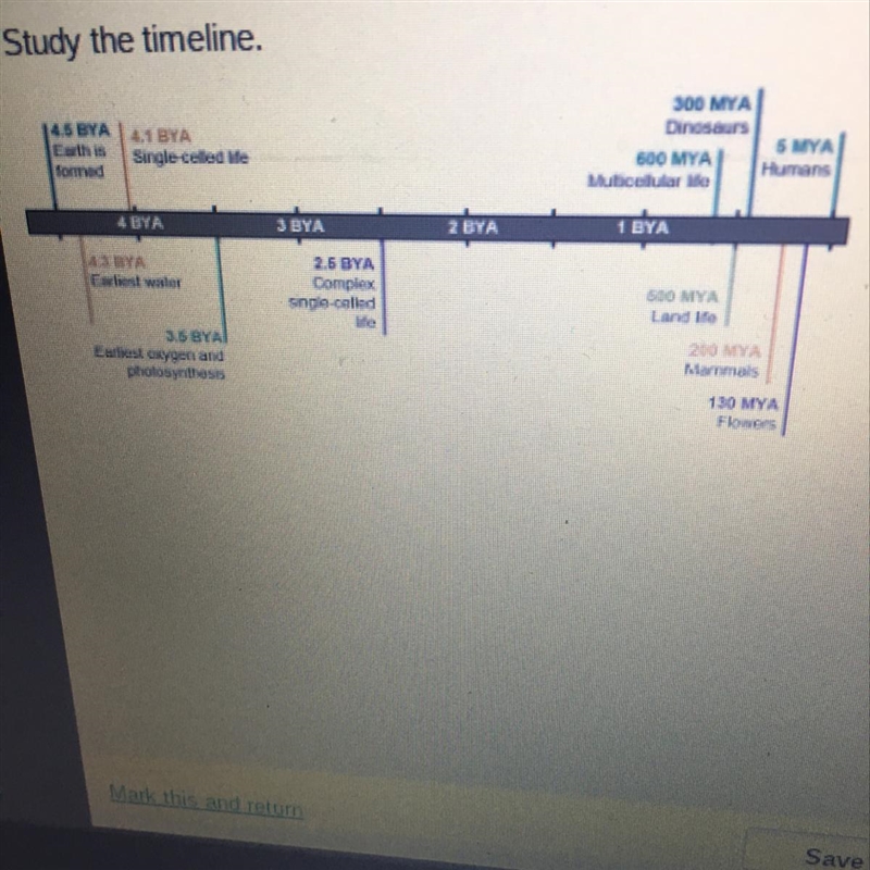 Which statement indicates what the fossil record suggests about evolution on Earth-example-1