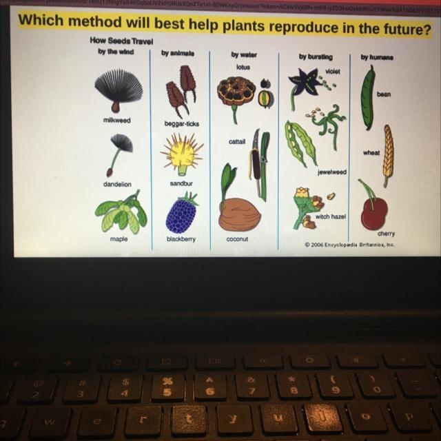 Does anyone know this-example-1