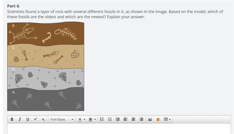 30 POINTS Scientists found a layer of rock with several different fossils in it, as-example-1