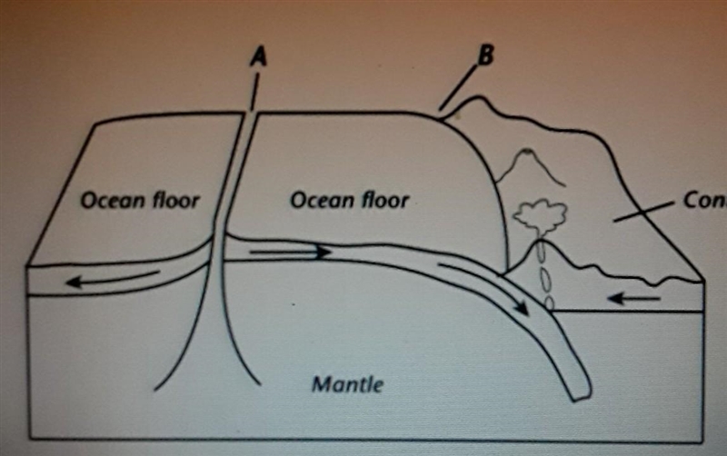 Name and describe the type of boundary shown at A​-example-1