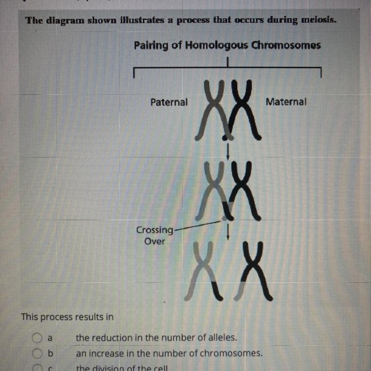 PLEASE HELP ASAP!!!!! This process results in a. the reduction in the number of alleles-example-1